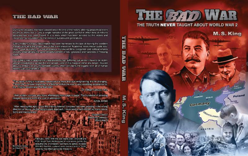 The Bad War by MS King